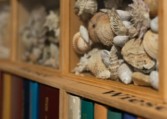 Boutique House Anni 度假居